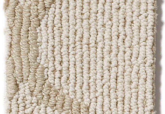 Anderson Tuftex Carpet Taza II Skylight