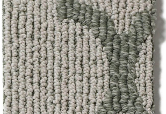 Anderson Tuftex Carpet Taza II Stonewashed