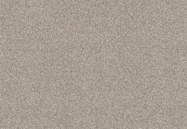 Anderson Tuftex Carpet Taza Misty Dawn