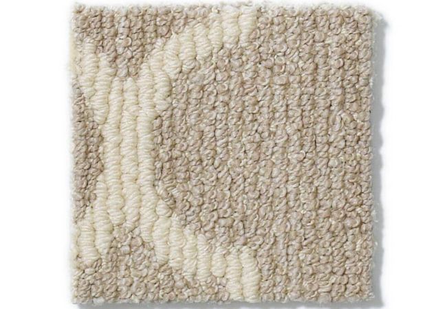 Anderson Tuftex Carpet Taza Plaza Taupe