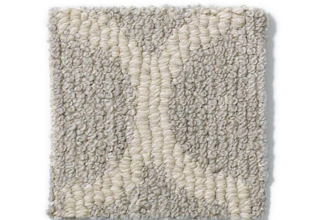 Anderson Tuftex Carpet Taza Silverado