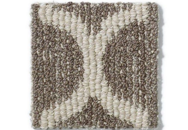 Anderson Tuftex Carpet Taza Windsor Gray