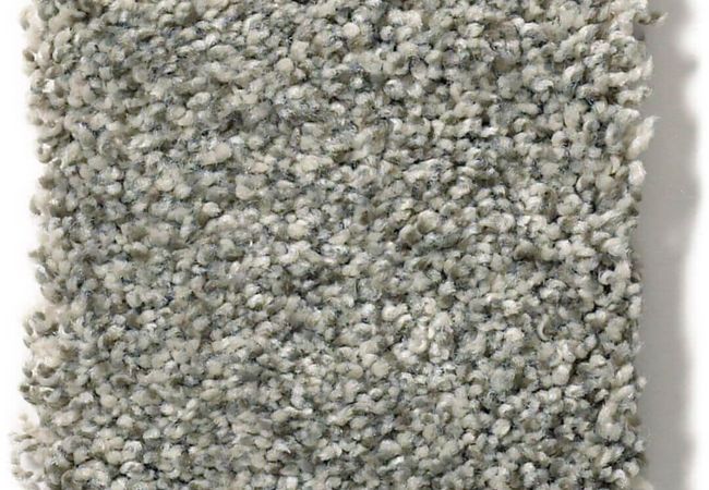 Anderson Tuftex Carpet The Bark Side II Abalone