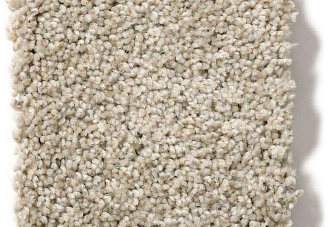 Anderson Tuftex Carpet The Bark Side II Aspen