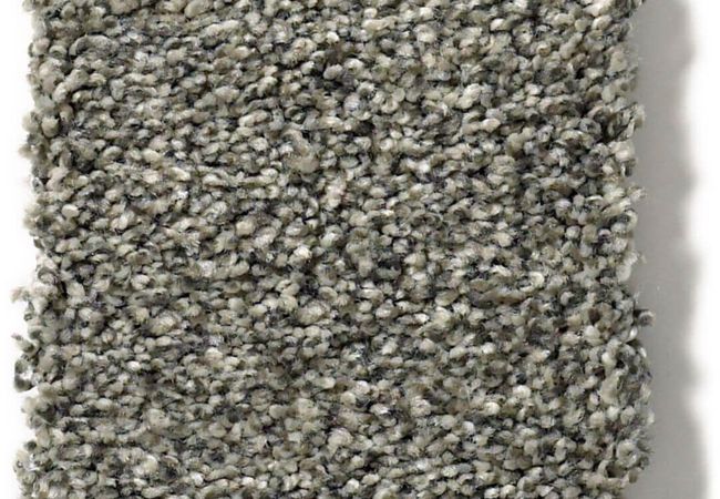 Anderson Tuftex Carpet The Bark Side II Leeds