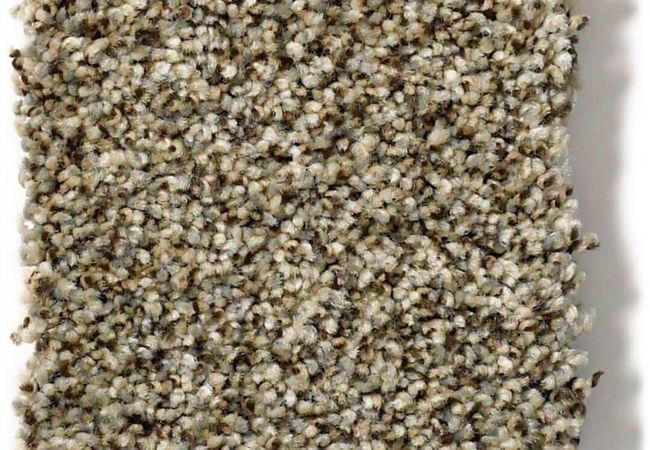 Anderson Tuftex Carpet The Bark Side II Mesa View