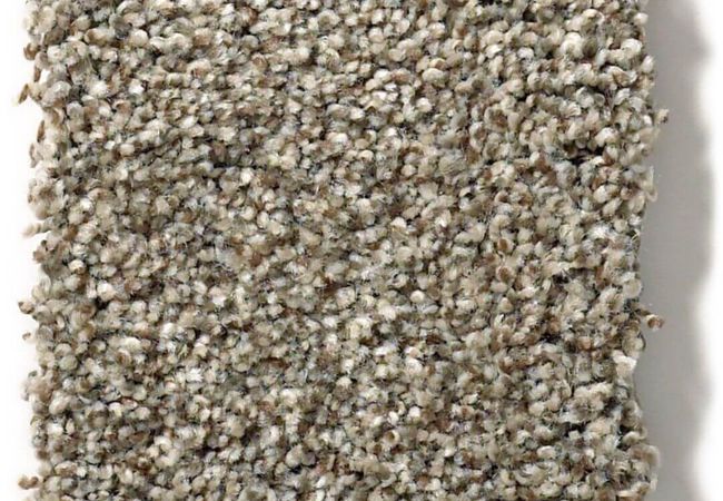 Anderson Tuftex Carpet The Bark Side II Rodeo