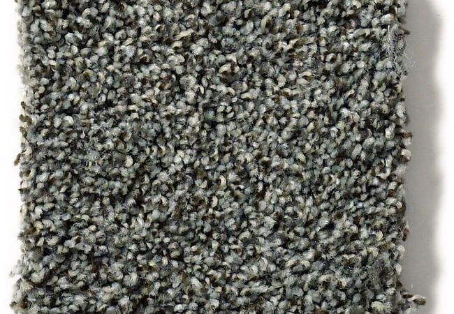 Anderson Tuftex Carpet The Bark Side II Rushmore