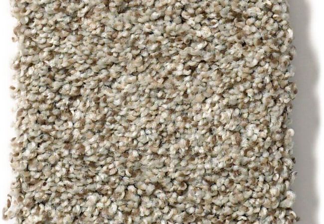 Anderson Tuftex Carpet The Bark Side II Sandstone