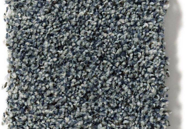 Anderson Tuftex Carpet The Bark Side II Thunder