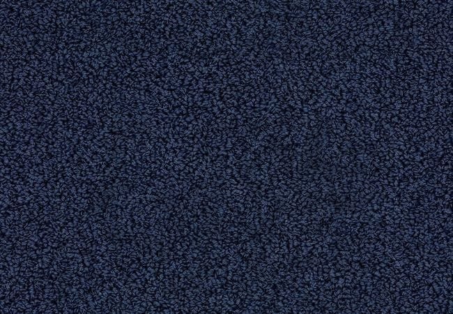 Anderson Tuftex Carpet The Bark Side II Tide Water