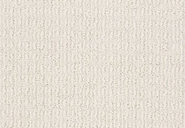 Anderson Tuftex Carpet Truly Delightful Blank Canvas