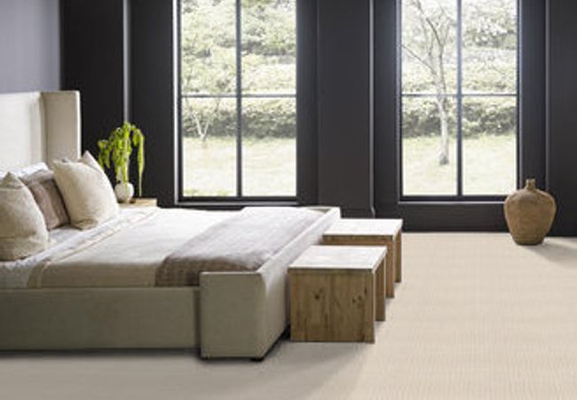 Anderson Tuftex Carpet Truly Delightful Blank Canvas view 2