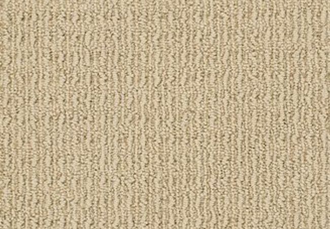 Anderson Tuftex Carpet Truly Delightful Buckskin