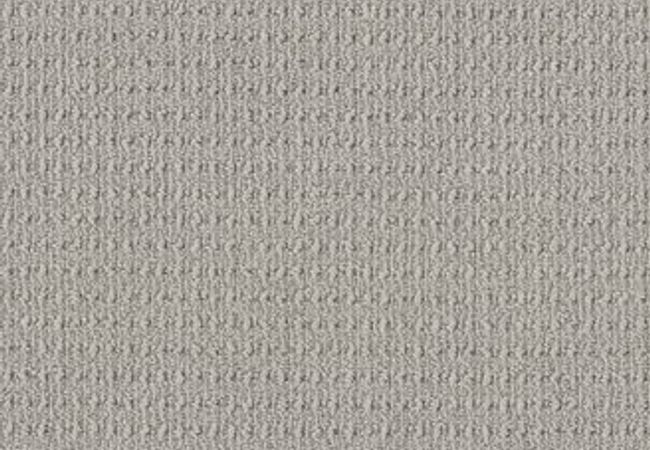 Anderson Tuftex Carpet Truly Delightful Chainlink