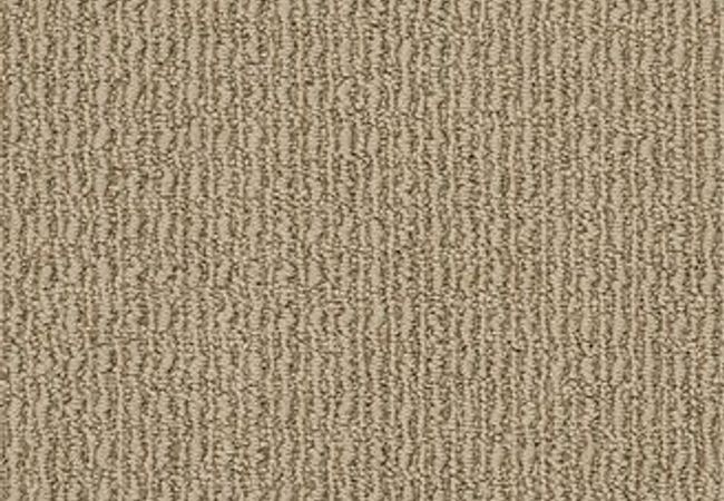 Anderson Tuftex Carpet Truly Delightful Chester