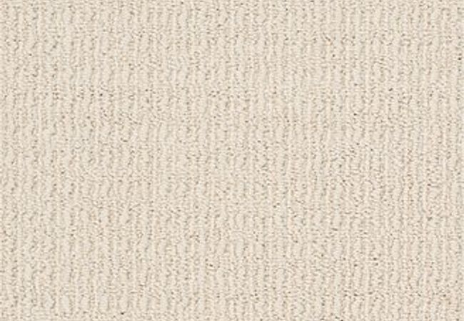 Anderson Tuftex Carpet Truly Delightful Down Feather
