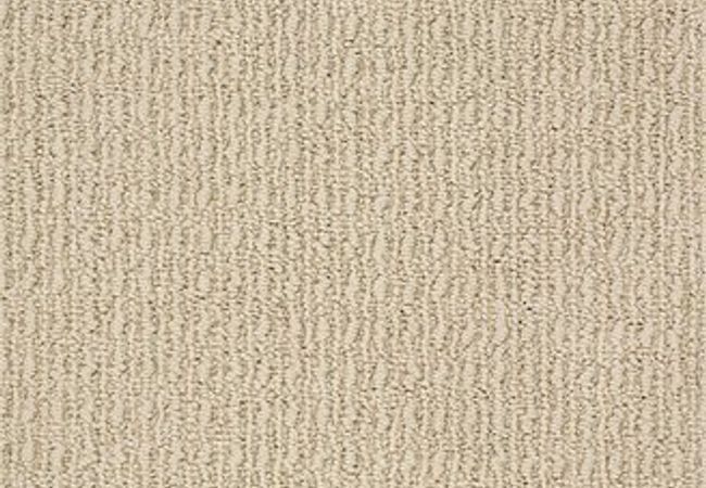 Anderson Tuftex Carpet Truly Delightful Fine Sand
