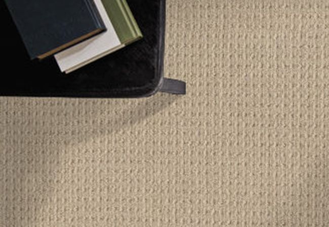 Anderson Tuftex Carpet Truly Delightful Fine Sand view 2