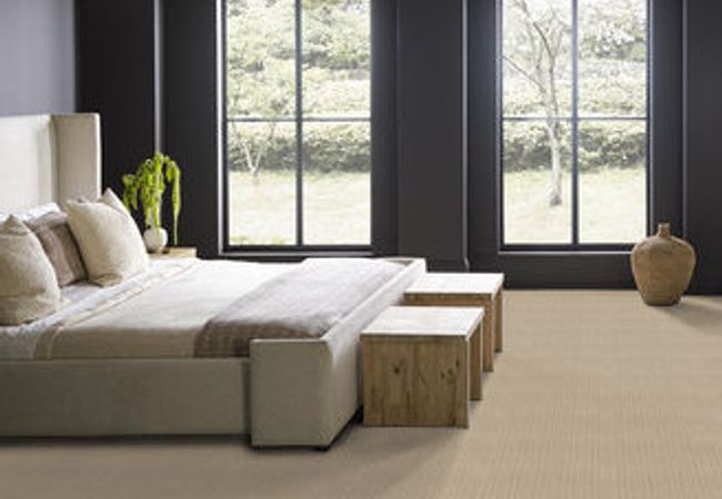 Anderson Tuftex Carpet Truly Delightful Fine Sand view 3