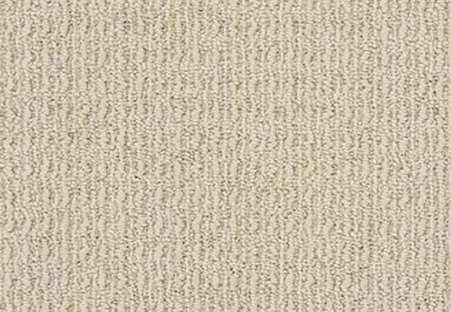 Anderson Tuftex Carpet Truly Delightful Granola