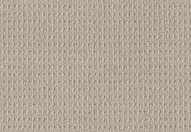 Anderson Tuftex Carpet Truly Delightful Hint of Gray