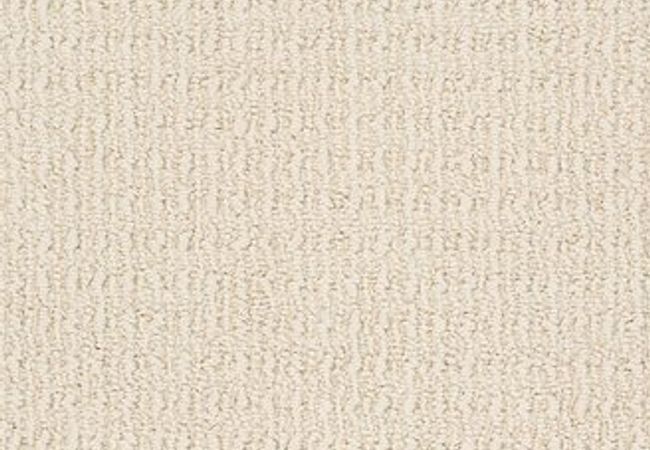 Anderson Tuftex Carpet Truly Delightful Light Apricot