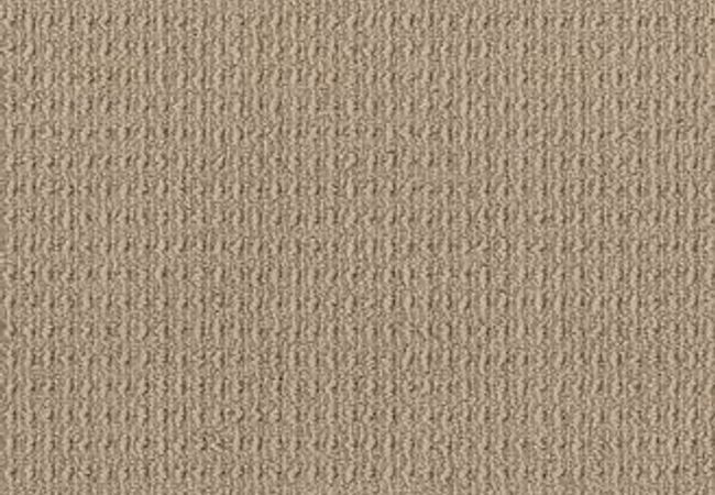 Anderson Tuftex Carpet Truly Delightful Nomadic