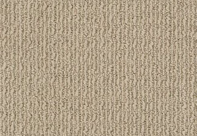 Anderson Tuftex Carpet Truly Delightful Pebble