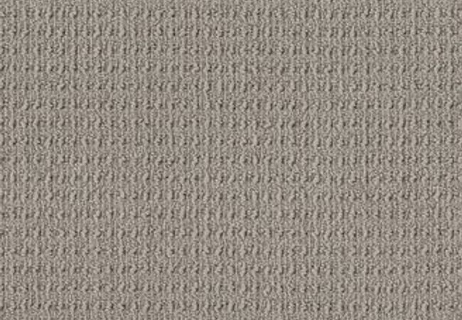 Anderson Tuftex Carpet Truly Delightful Pinstripe