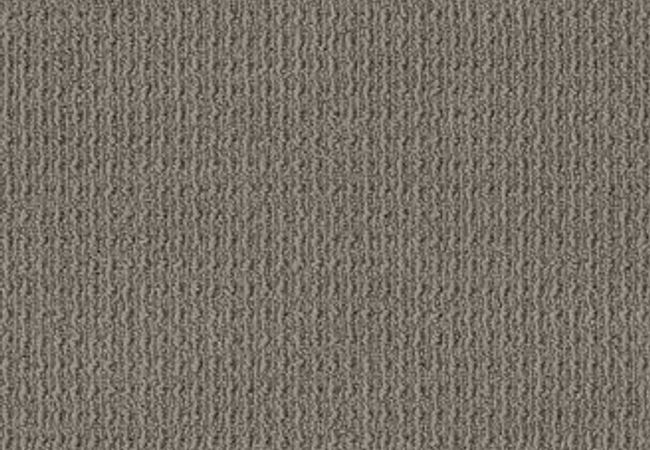 Anderson Tuftex Carpet Truly Delightful Shadow