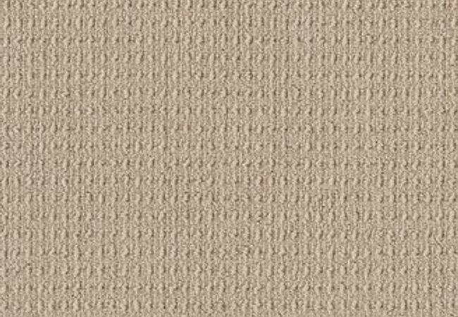 Anderson Tuftex Carpet Truly Delightful Shortbread