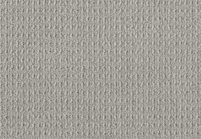 Anderson Tuftex Carpet Truly Delightful Silver
