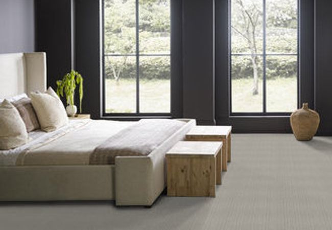 Anderson Tuftex Carpet Truly Delightful Silver view 3