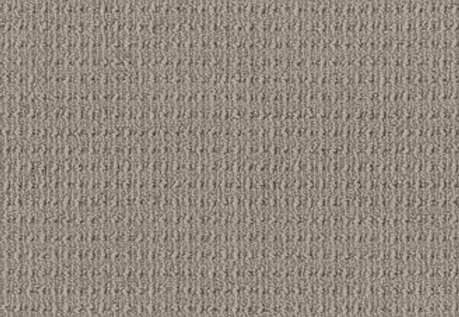 Anderson Tuftex Carpet Truly Delightful Twilight