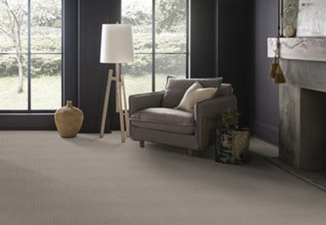 Anderson Tuftex Carpet Truly Delightful Twilight view 2