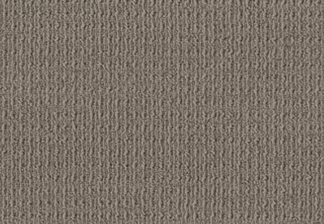 Anderson Tuftex Carpet Truly Delightful Wind Cave