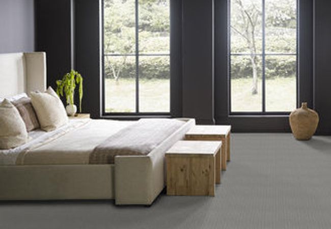Anderson Tuftex Carpet Truly Delightful Winter view 3