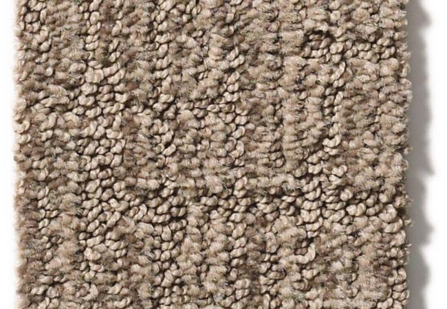 Anderson Tuftex Carpet Wanderer Driftwood