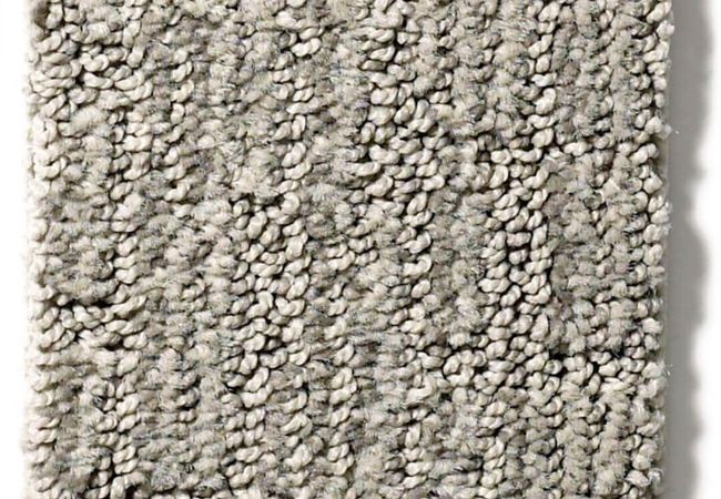 Anderson Tuftex Carpet Wanderer Heather Gray