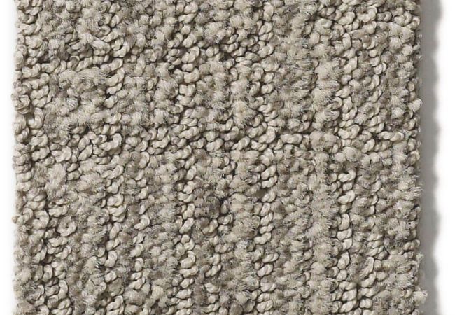 Anderson Tuftex Carpet Wanderer Horizon