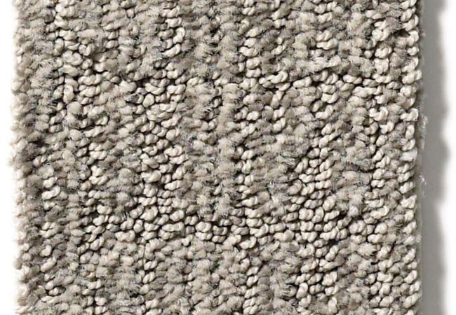 Anderson Tuftex Carpet Wanderer Moonshine