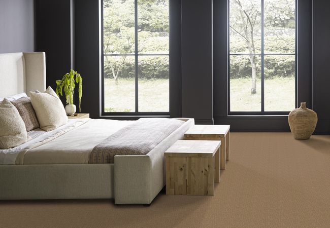 Anderson Tuftex Carpet Wanderer Peanut Shell view 3