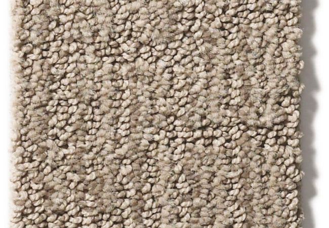 Anderson Tuftex Carpet Wanderer Plains