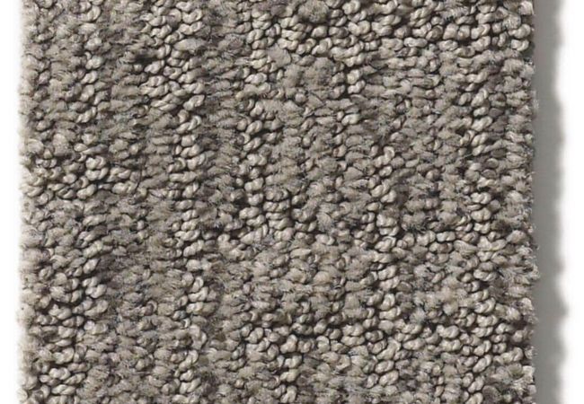 Anderson Tuftex Carpet Wanderer Sharkskin