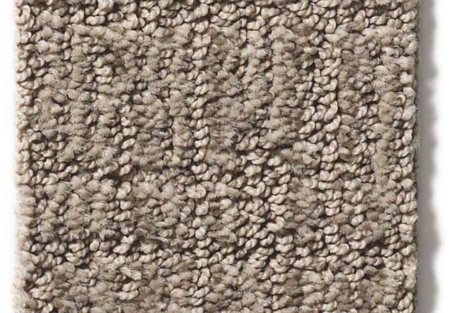 Anderson Tuftex Carpet Wanderer Stonish