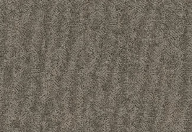 Anderson Tuftex Carpet Wanderer Storm Cloud