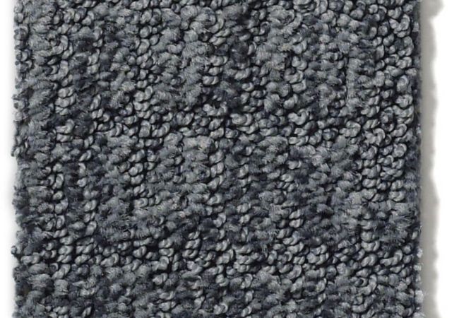 Anderson Tuftex Carpet Wanderer Stratton