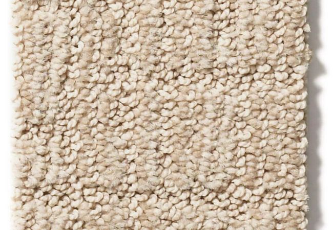 Anderson Tuftex Carpet Wanderer Sunlight