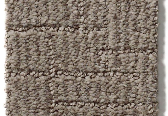 Anderson Tuftex Carpet Wayfarer Stonish